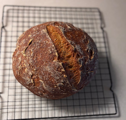 Gluten Free Protein Sourdough