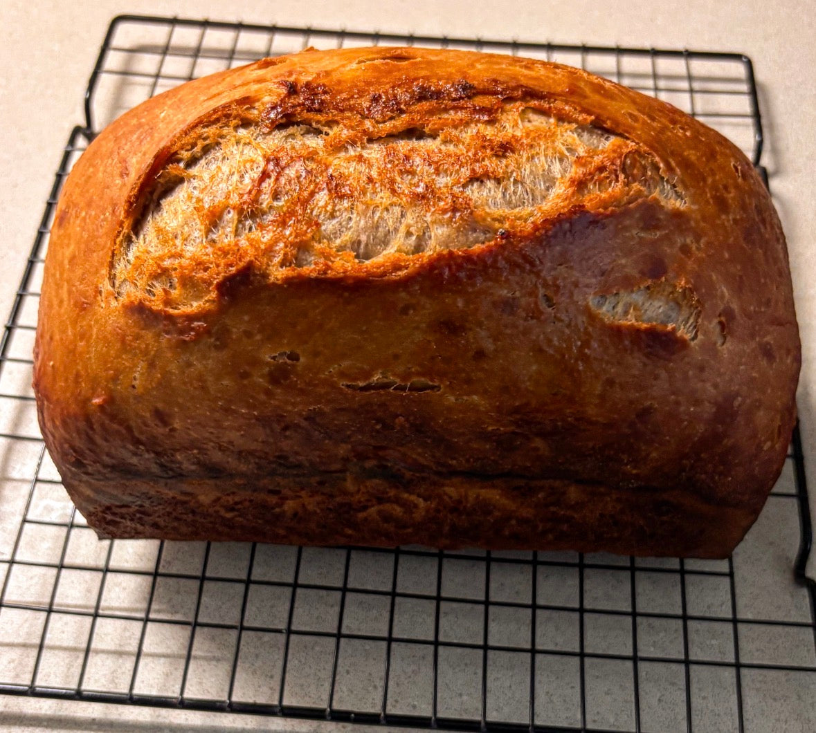 SourLoaf