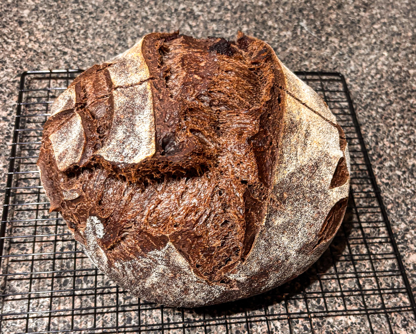 Triple Cocoa Protein Sourdough