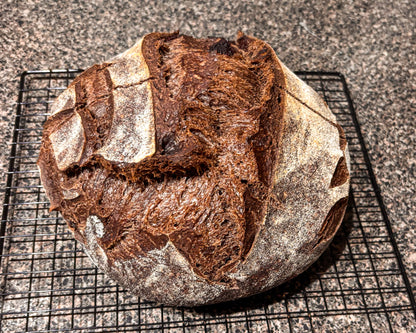 Triple Cocoa Protein Sourdough