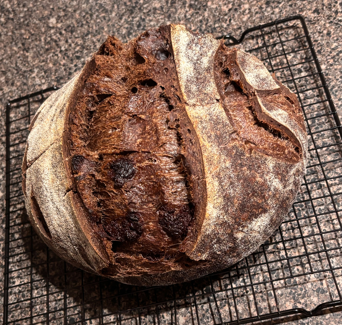 Triple Cocoa Protein Sourdough