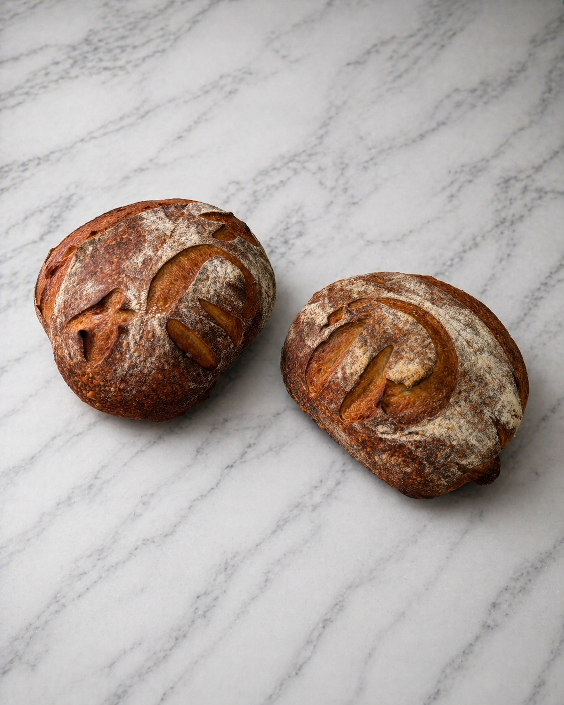 Powerdough: Protein Sourdough